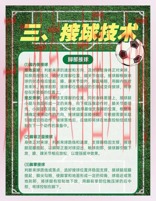 开云体育官方网，篮球足球盛事全覆盖解析