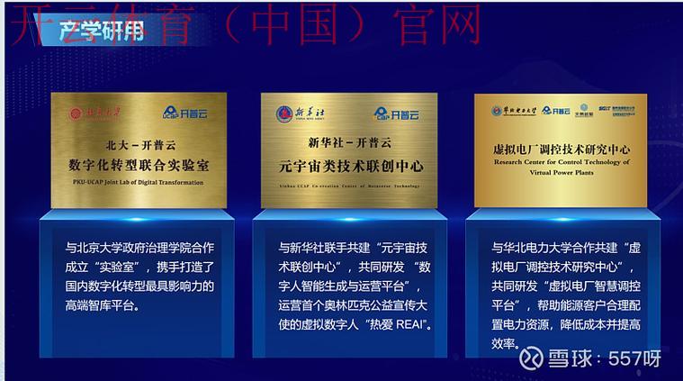 开云官网，线上线下无缝对接